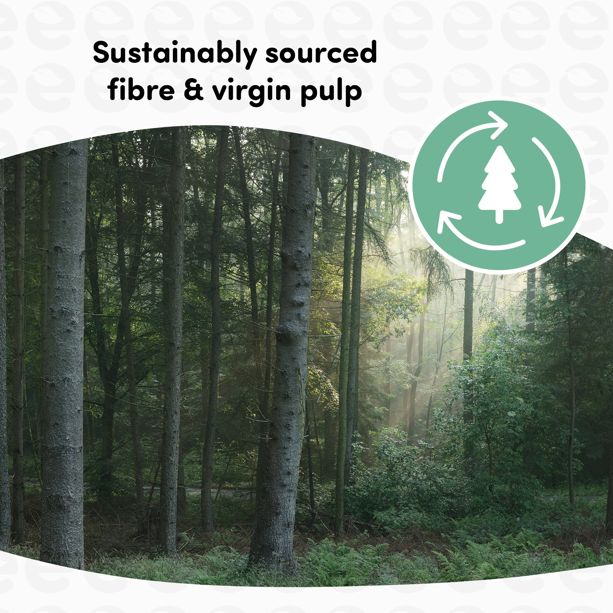 Splesh Toilet Roll, Soft & Quilted Eco-Friendly, White, 12 Rolls